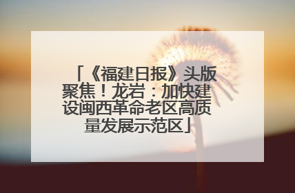 《福建日报》头版聚焦！龙岩：加快建设闽西革命老区高质量发展示范区