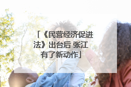 《民营经济促进法》出台后 张江有了新动作