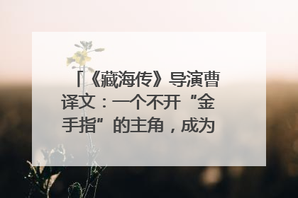 《藏海传》导演曹译文：一个不开“金手指”的主角，成为苍生守护者