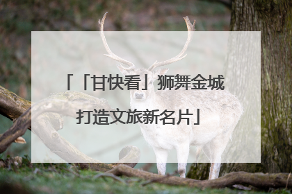 「甘快看」狮舞金城 打造文旅新名片