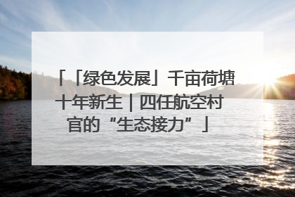 「绿色发展」千亩荷塘 十年新生｜四任航空村官的“生态接力”