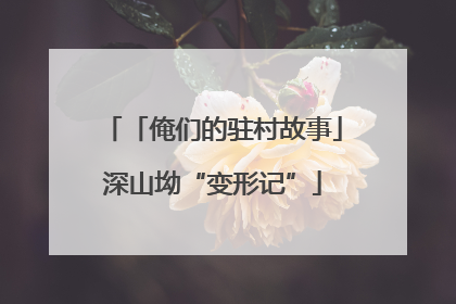 「俺们的驻村故事」深山坳“变形记”