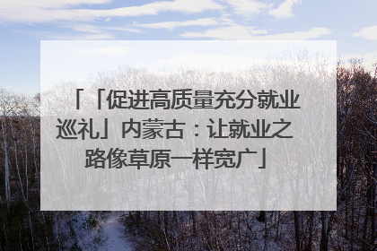 「促进高质量充分就业巡礼」内蒙古：让就业之路像草原一样宽广