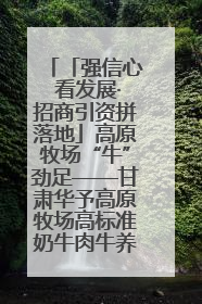 「强信心 看发展·招商引资拼落地」高原牧场“牛”劲足——甘肃华予高原牧场高标准奶牛肉牛养殖项目一线见闻