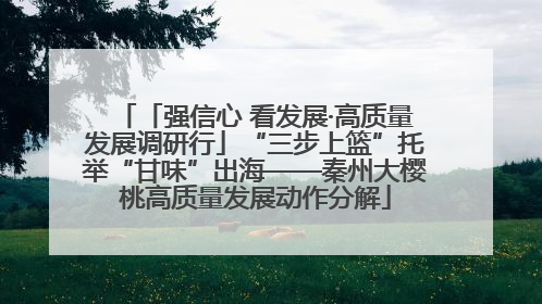「强信心 看发展·高质量发展调研行」“三步上篮”托举“甘味”出海——秦州大樱桃高质量发展动作分解