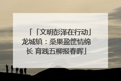 「文明彭泽在行动」龙城镇：桑果盈筐情绵长 育践五柳报春晖