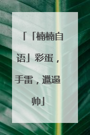 「楠楠自语」彩蛋，手雷，邋遢帅