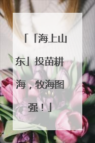 「海上山东」投苗耕海，牧海图强！