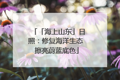 「海上山东」日照：修复海洋生态 擦亮蔚蓝底色