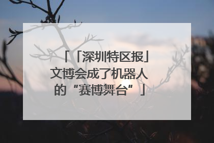 「深圳特区报」文博会成了机器人的“赛博舞台”