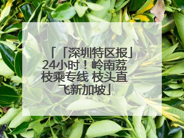 「深圳特区报」24小时！岭南荔枝乘专线 枝头直飞新加坡