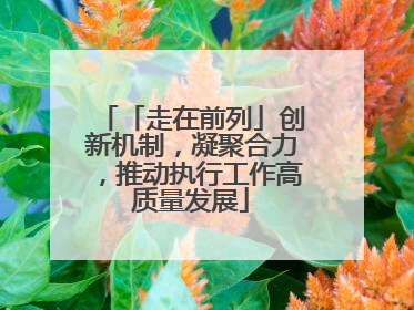 「走在前列」创新机制，凝聚合力，推动执行工作高质量发展