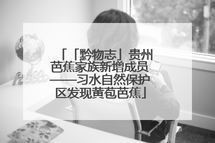 「黔物志」贵州芭蕉家族新增成员——习水自然保护区发现黄苞芭蕉