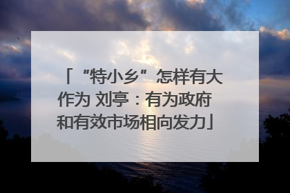 “特小乡”怎样有大作为 刘亭：有为政府和有效市场相向发力