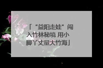 “益阳走娃”闯入竹林秘境 用小脚丫丈量大竹海