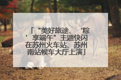 “美好旅途、‘粽’享端午”主题快闪在苏州火车站、苏州南站候车大厅上演