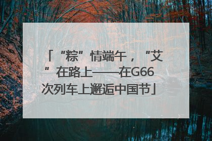 “粽”情端午，“艾”在路上——在G66次列车上邂逅中国节