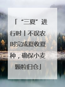 “三夏”进行时丨不误农时完成夏收夏种，确保小麦颗粒归仓