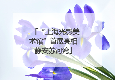 “上海光影美术馆”首展亮相静安苏河湾