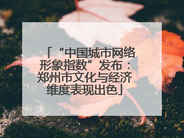 “中国城市网络形象指数”发布：郑州市文化与经济维度表现出色