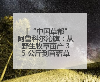 “中国草都” 阿鲁科尔沁旗：从野生牧草亩产 35 公斤到苜蓿草亩产 800 公斤以上