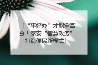 “事好办”才能拿高分！泰安“智慧政务”打造便民新模式