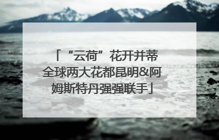 “云荷”花开并蒂 全球两大花都昆明&阿姆斯特丹强强联手