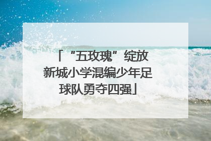 “五玫瑰”绽放 新城小学混编少年足球队勇夺四强