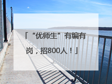 “优师生”有编有岗，招800人！