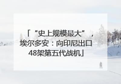“史上规模最大”，埃尔多安：向印尼出口48架第五代战机