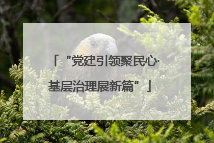 “党建引领聚民心·基层治理展新篇”