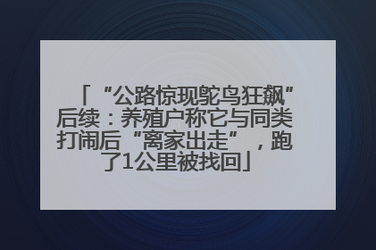 “公路惊现鸵鸟狂飙”后续：养殖户称它与同类打闹后“离家出走”，跑了1公里被找回