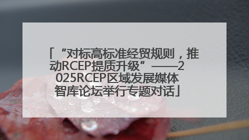 “对标高标准经贸规则，推动RCEP提质升级”——2025RCEP区域发展媒体智库论坛举行专题对话