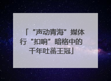 “声动青海”媒体行“扣响”暗格中的千年吐蕃王冠