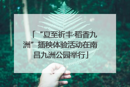 “夏至祈丰·稻香九洲”插秧体验活动在南昌九洲公园举行