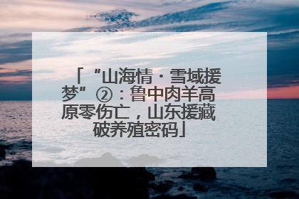 “山海情・雪域援梦”②：鲁中肉羊高原零伤亡，山东援藏破养殖密码