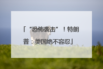 “恐怖袭击”！特朗普：美国绝不容忍