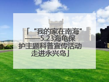 “我的家在南海”——5.23海龟保护主题科普宣传活动走进永兴岛