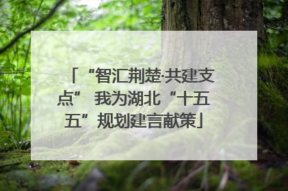“智汇荆楚·共建支点” 我为湖北“十五五”规划建言献策