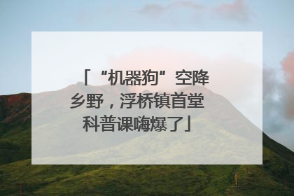 “机器狗”空降乡野，浮桥镇首堂科普课嗨爆了