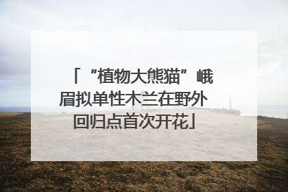 “植物大熊猫”峨眉拟单性木兰在野外回归点首次开花