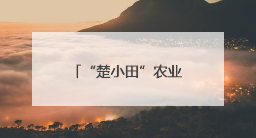 “楚小田”农业生态链品牌发布