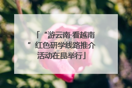“游云南·看越南”红色研学线路推介活动在昆举行