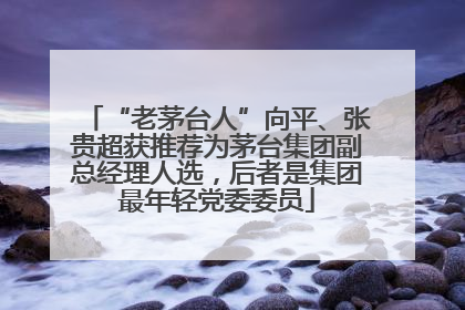 “老茅台人”向平、张贵超获推荐为茅台集团副总经理人选，后者是集团最年轻党委委员
