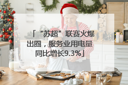 “苏超”联赛火爆出圈，服务业用电量同比增长9.3%