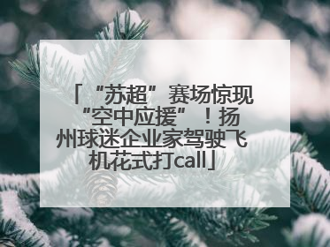“苏超”赛场惊现 “空中应援”！扬州球迷企业家驾驶飞机花式打call