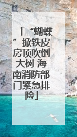 “蝴蝶”掀铁皮房顶吹倒大树 海南消防部门紧急排险