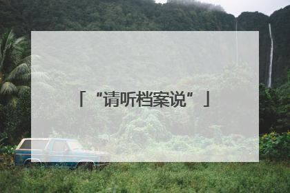 “请听档案说”