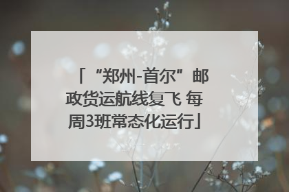 “郑州-首尔”邮政货运航线复飞 每周3班常态化运行