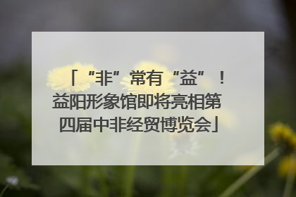 “非”常有“益”！益阳形象馆即将亮相第四届中非经贸博览会